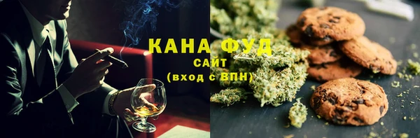 шишки Ельня