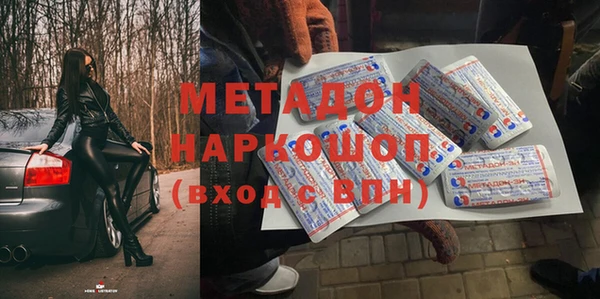 прущие грибы Беломорск