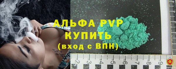 прущие грибы Беломорск