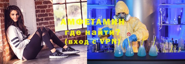 прущие грибы Беломорск