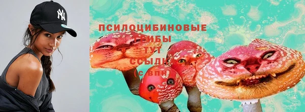 PSILOCYBIN Белоозёрский