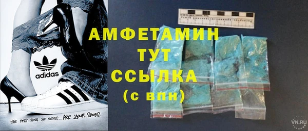 прущие грибы Беломорск