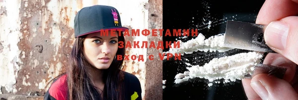 прущие грибы Беломорск